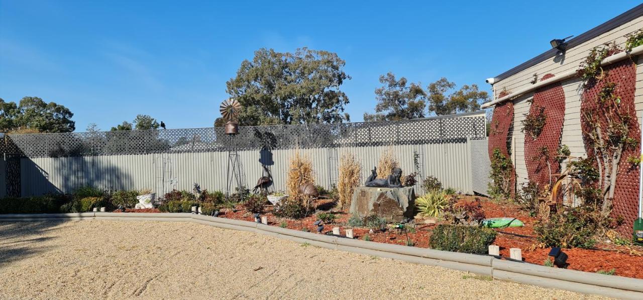 Cameo Inn Motel West Wyalong Exterior foto